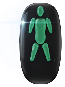 Absence of both forearms and both lower legs.