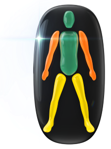 Movement and coordination affected in all four limbs; to a moderate degree in the arms and a low degree in the legs.